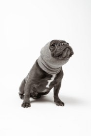 PET HOODZ DOG HOODIES FOR ANXIETY (Color: Grey, size: large)